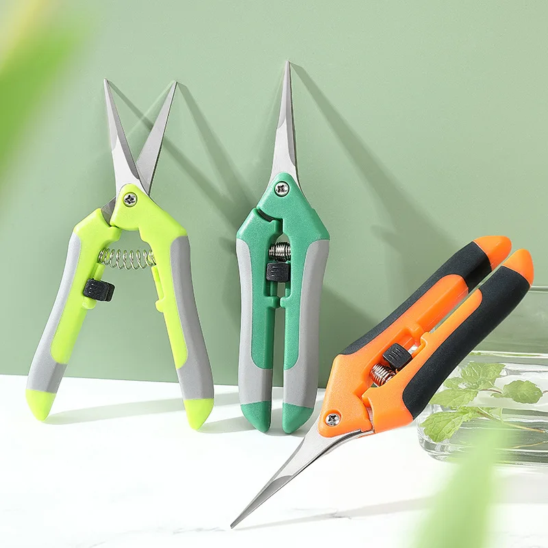 Gardening Pruning &  Fruit Scissors  Grape Picking sharp-tongued Shears Fruit Scissors