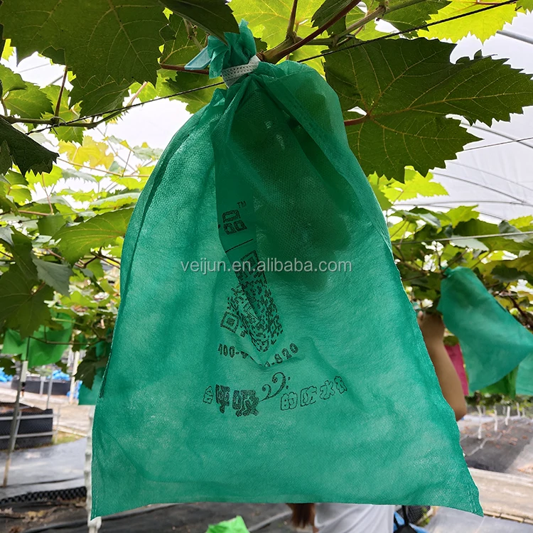 Hight Quality Garden Grape/Banana/Orange Fruit Protection Bags