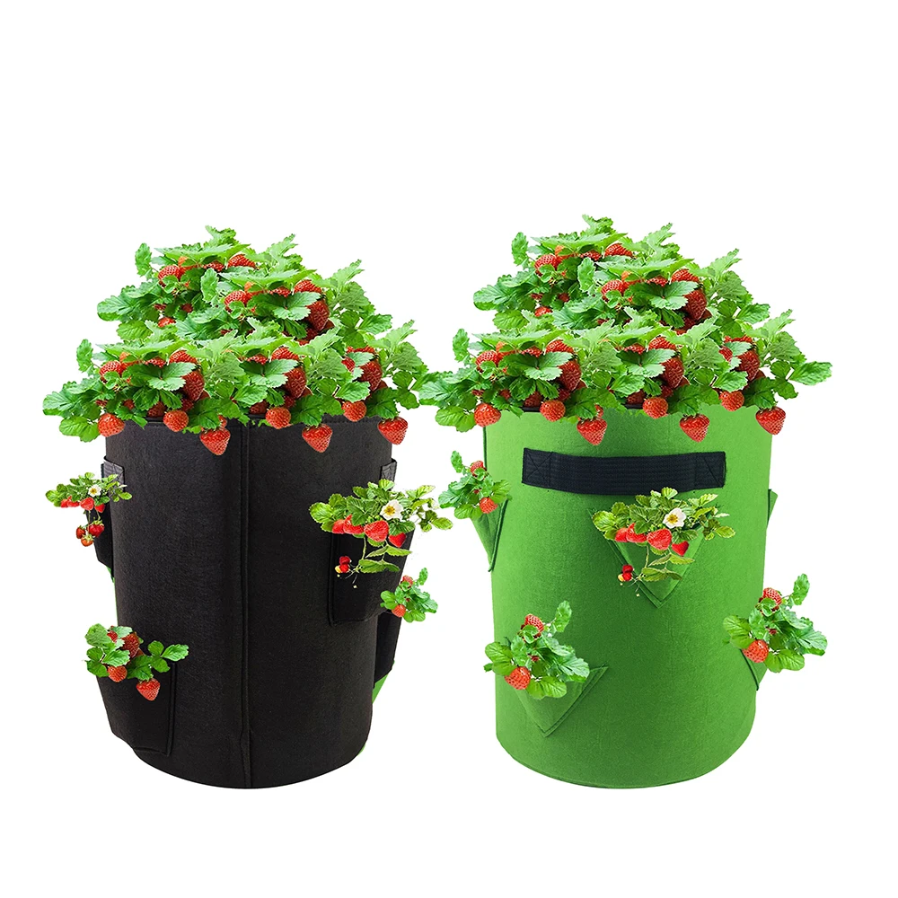 Wholesale Manufacturer Breathable plant grow bag with triangle holes for strawberry tomato growing