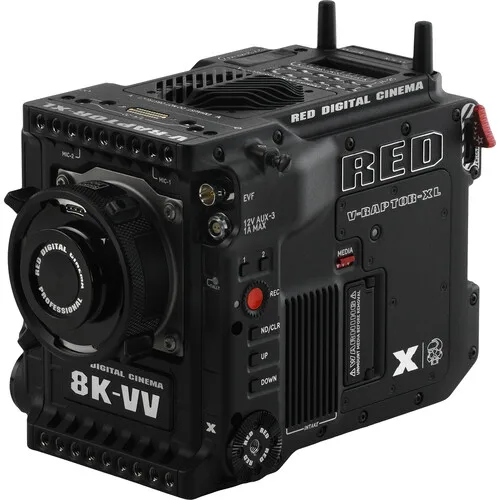 RE D DIGITAL CINEMA V-RAPTOR XL [X] 8K VV Camera (Gold Mount)