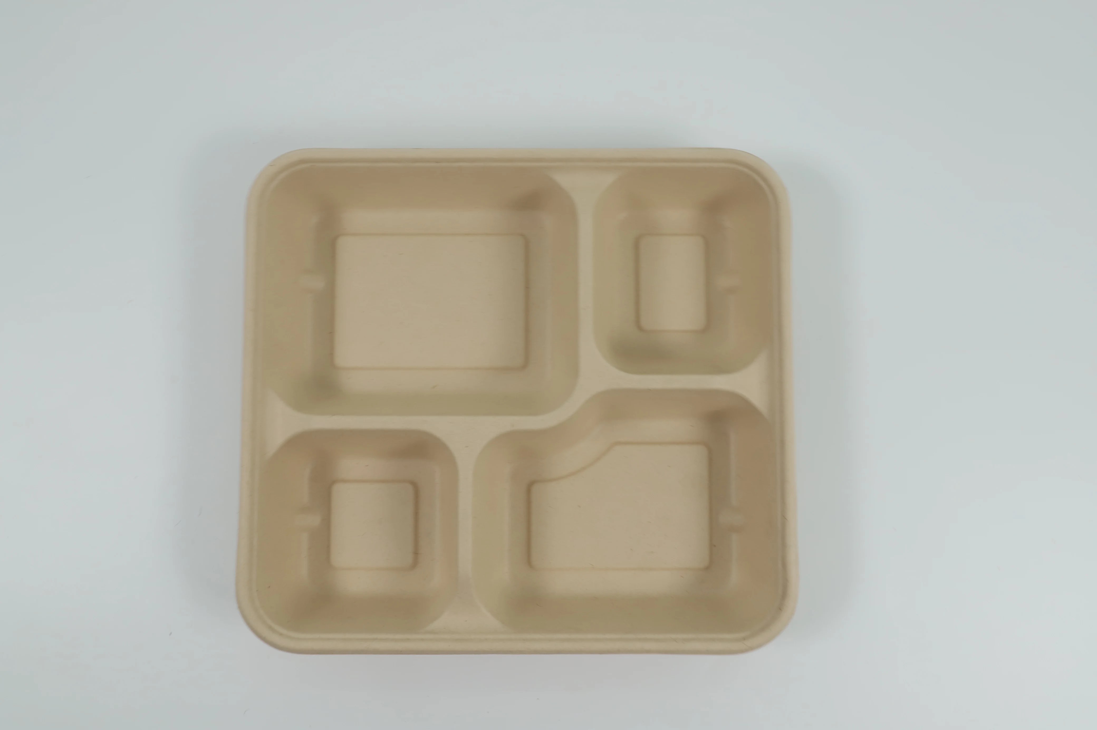 3 compartments  biodegradable  tray