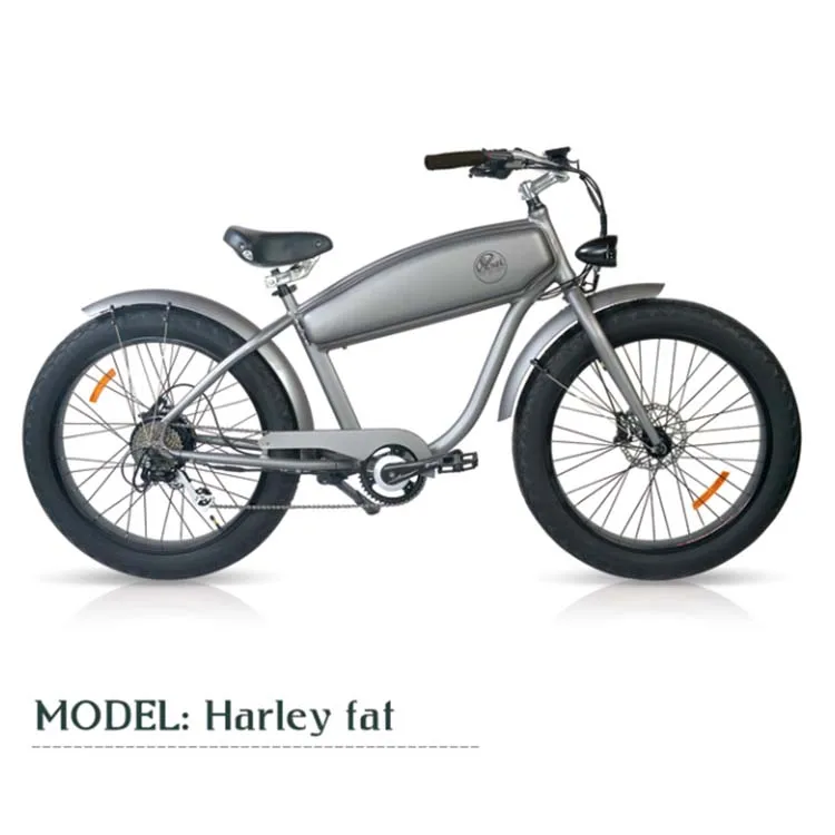 Outdoor sports bicycle with front shock absorber and wide tire electric mountain bike fat tire electric cycle motor 750w