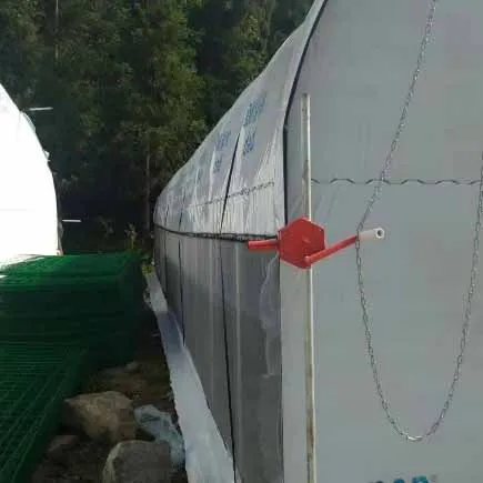 
High quality new design new style single span tunnel greenhouse for sale 