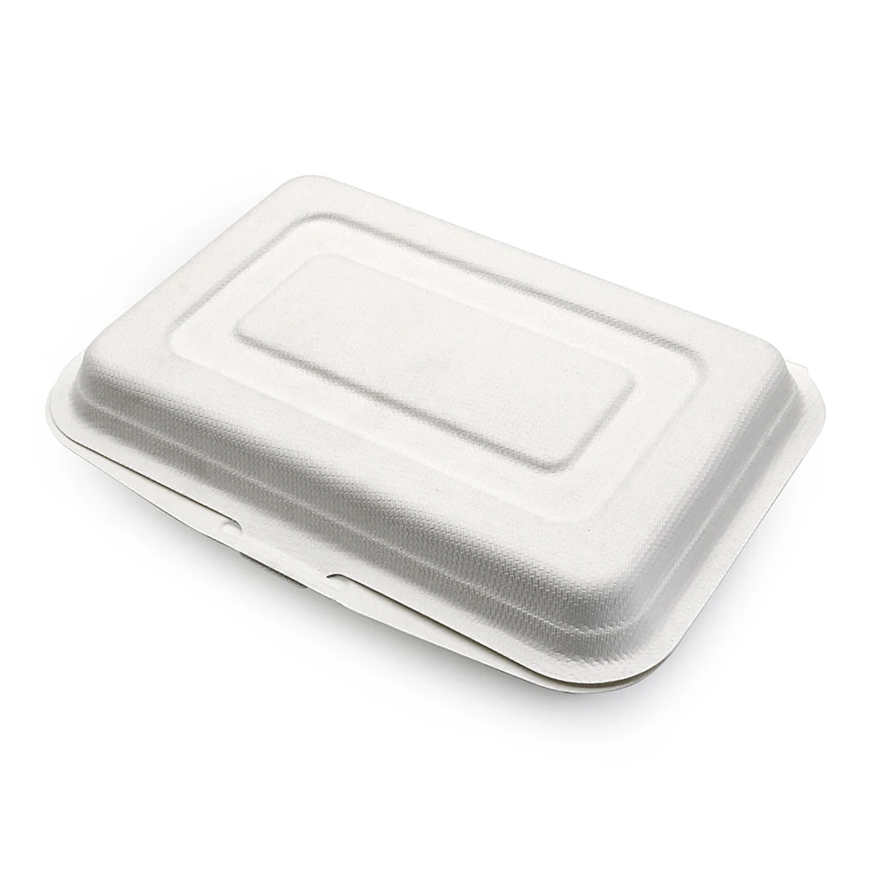 Custom PFAS Free Eco Friendly Take Away Out Biodegradable Packaging Disposable Food Container Degradable Bento Lunch Box