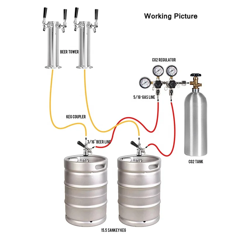 New Dual Output Co2 Regulator,W21.8/CGA320 Co2 Gauge With Pressure Relief Safety Valve For Beer Home Brewing 0-3000Psi