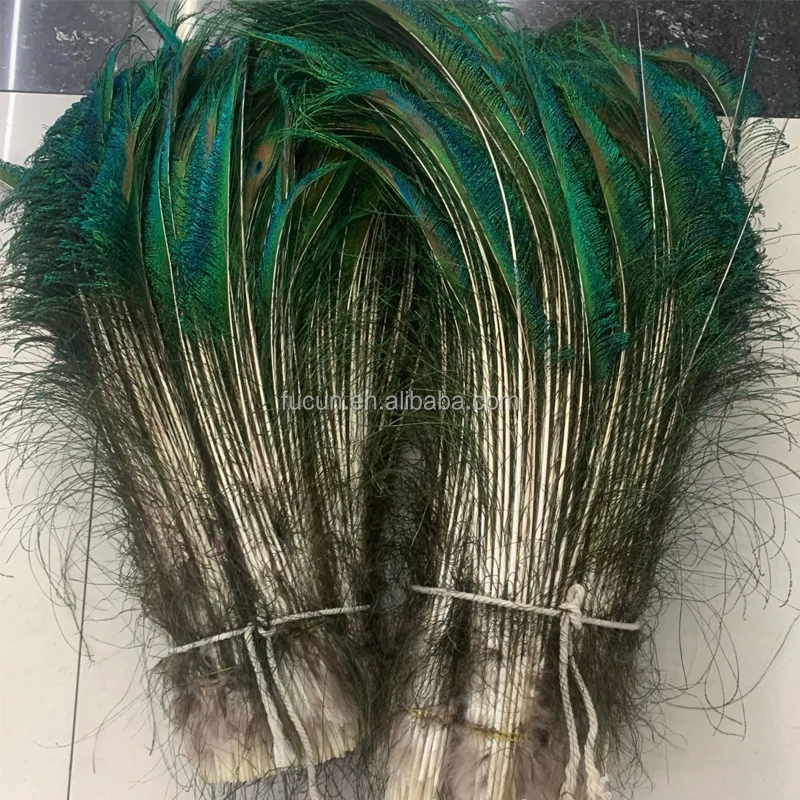Carnival crafting made natural peacock swords feathers peacock quill feathers for carnival season in UK
