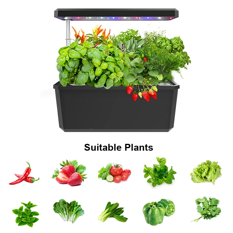 hydroponic cultivation kit home garden vegetable cultivation germination seedling raising