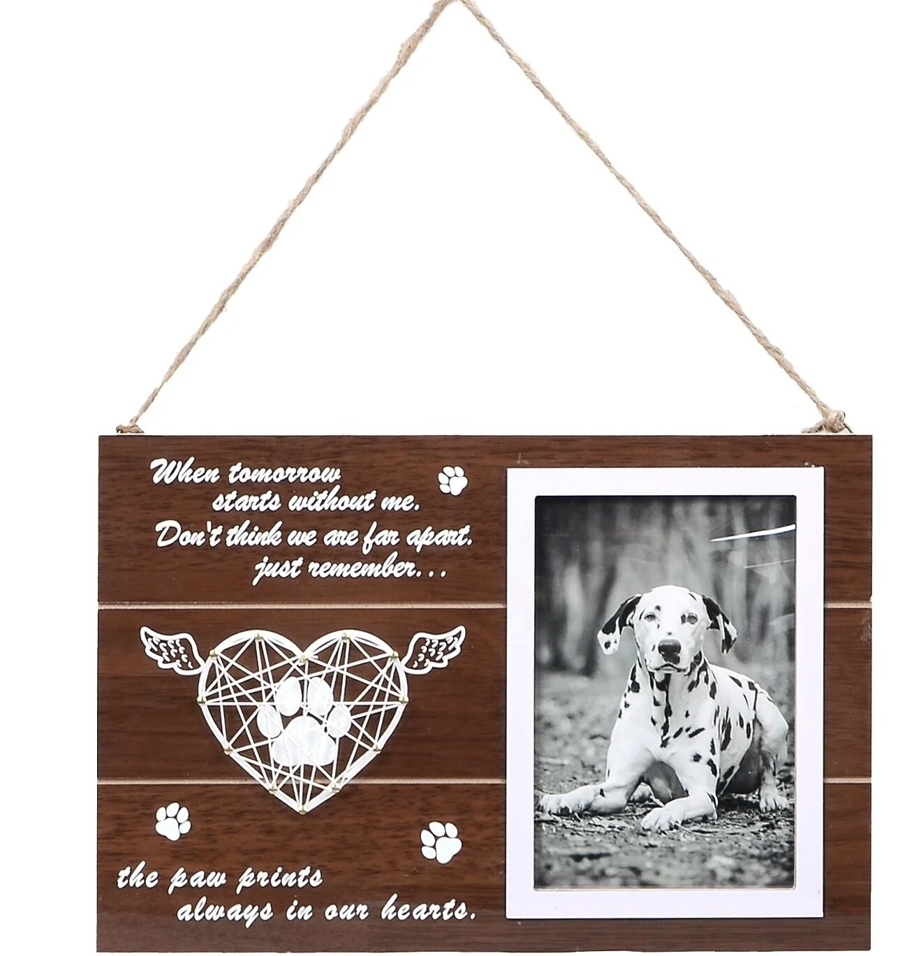 Cat Sympathy Photo Memorial Picture Loss The Best Angels Have Wings And Whiskers Pet Remembrance Frame Gift