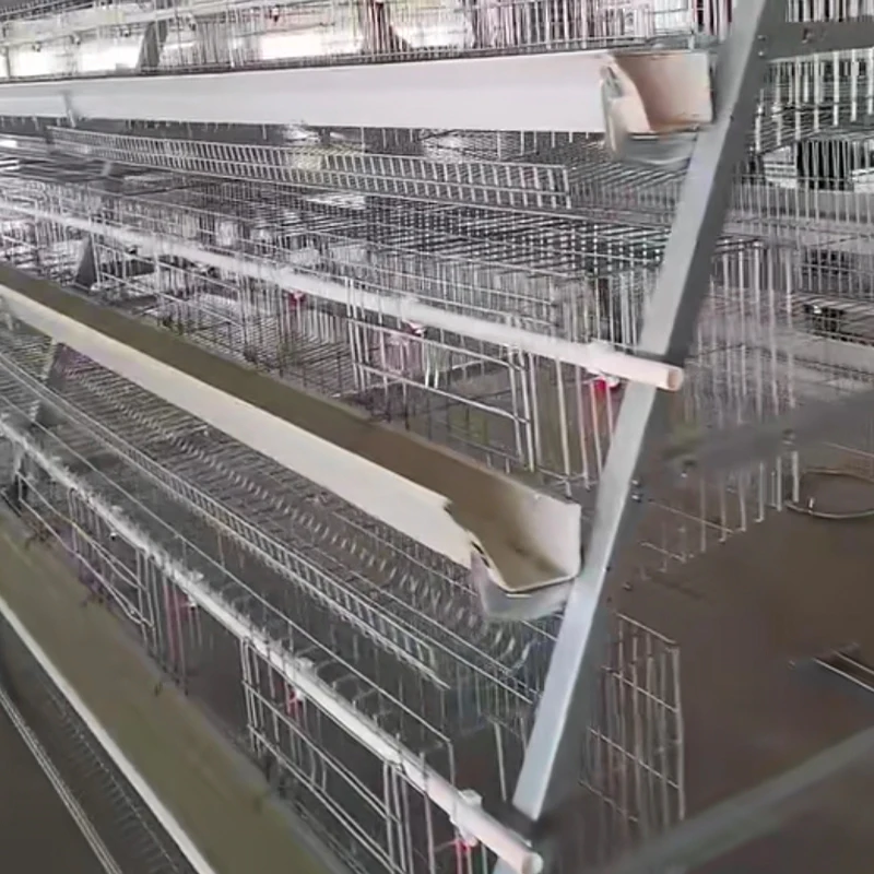 Fully Automatic A-Type Chicken Egg Layer Cages for Sale Premium Animal Cages for Chicken Rearing