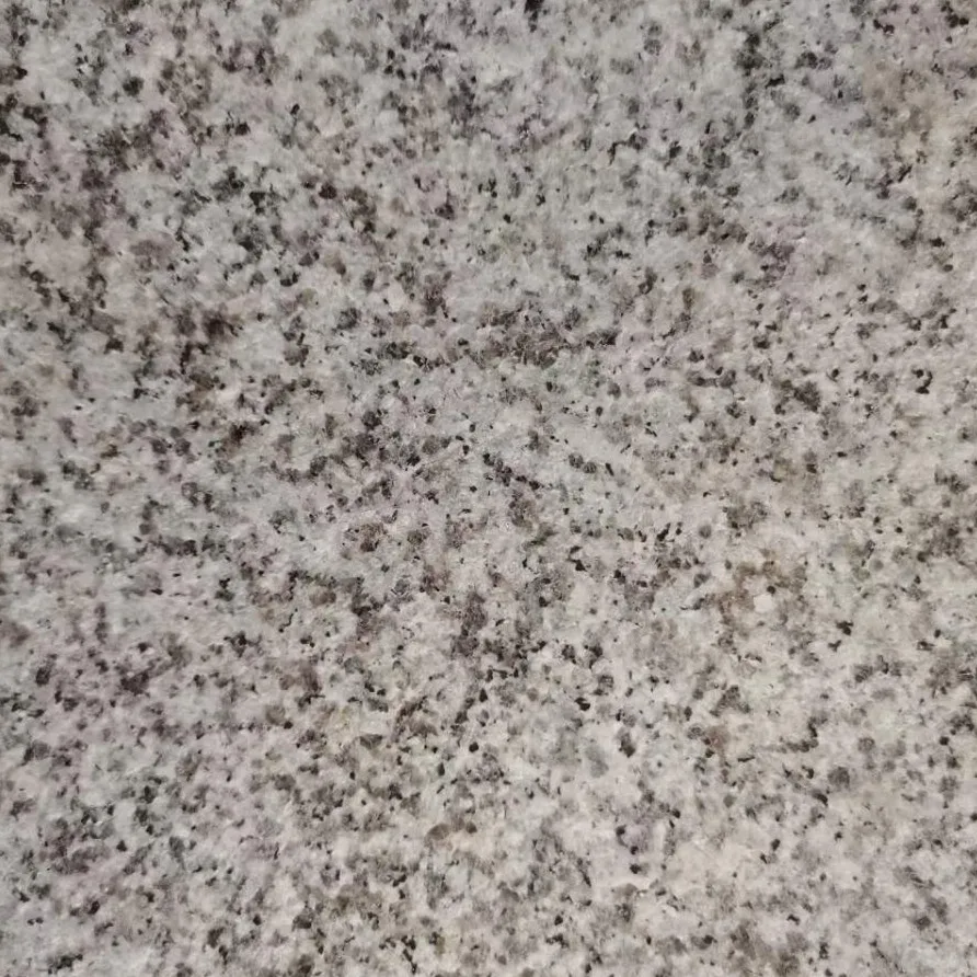 Wholesale  Hot Sale Bottom Price  G603  Granite Banco White Granite  Sardo White Granite