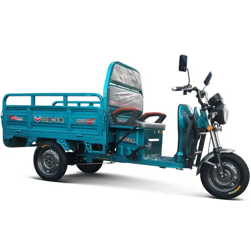 Professional production three wheel passenger seat electric cargo tricycle \ 500W electric motorcycle