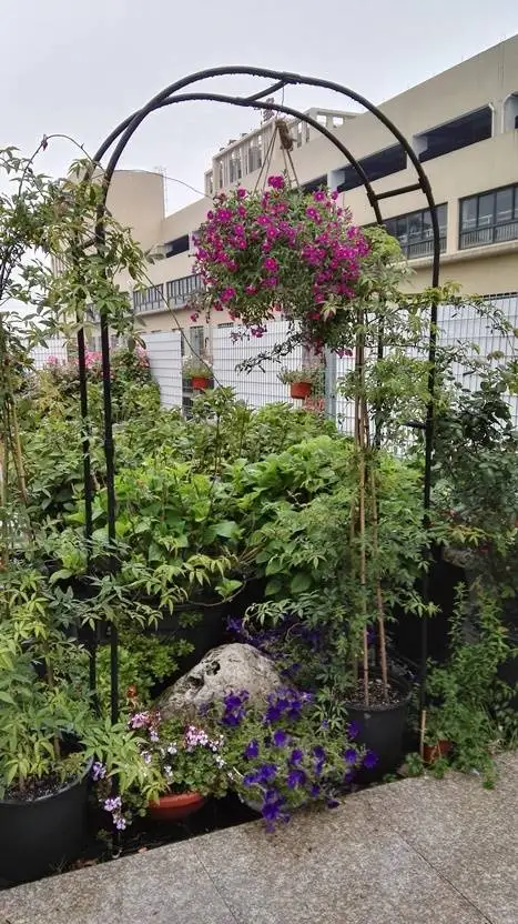 Outdoor Easy Plastic Garden Flower Climbing Vines Arch Arbor for Climbing Plants