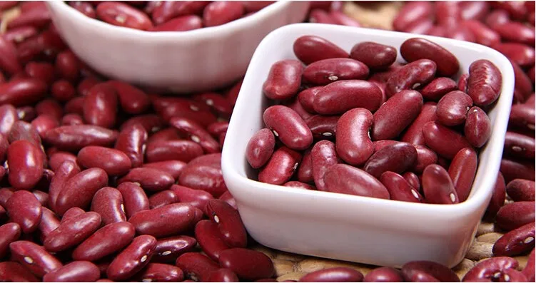 
The top quality of new crop2017 Dark Red Kidney Beans/Selected by H.P.S Size:190-210pcs/100g 