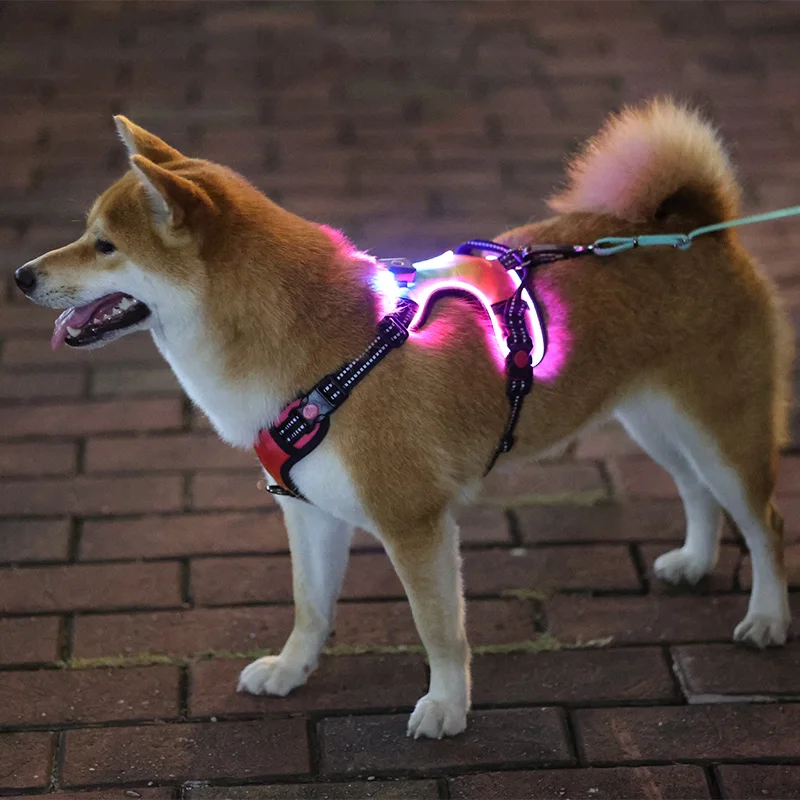 OKEYPETS pet supplies custom LED dog harness no pull reflective rechargeable luminous fluorescent light up pet dog harness