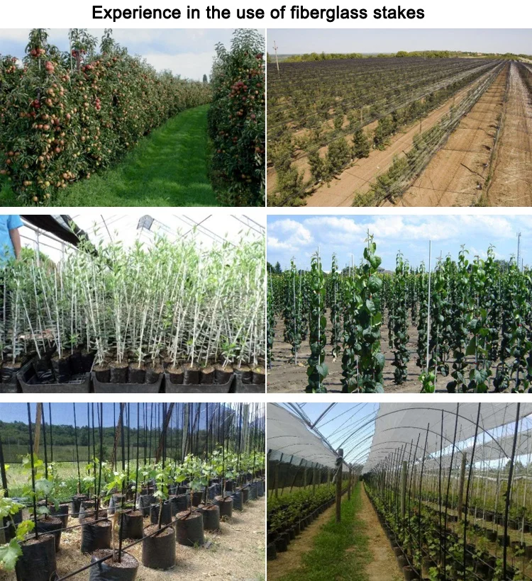 Agriculture Horticulture Fiberglass stakes rods