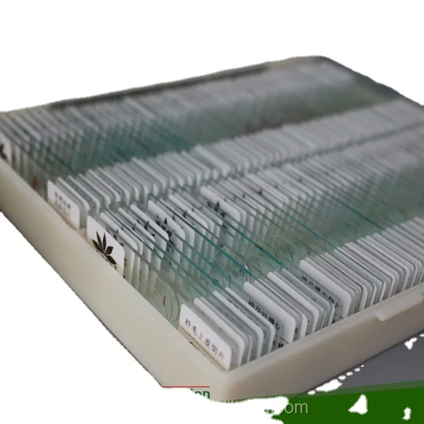 Cryptosporidium oocyst W.M.