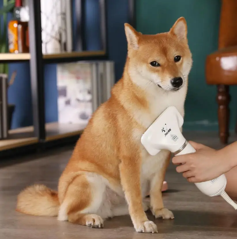 wholesale pet accessories pet hair removal brush comb Blowing and pulling integrated bathing comb