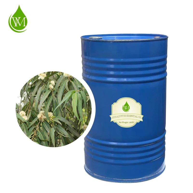 Wholesale Price Eucalyptus Essential Oil New for Cosmetics/massage Eucalyptus Oil Pure Skin Care Product Breast Firming Products