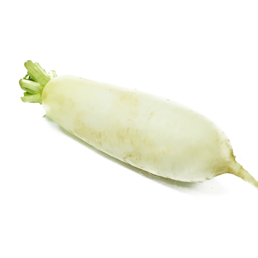 Good Quality Best Price Fresh Radish Original Fresh White Radish