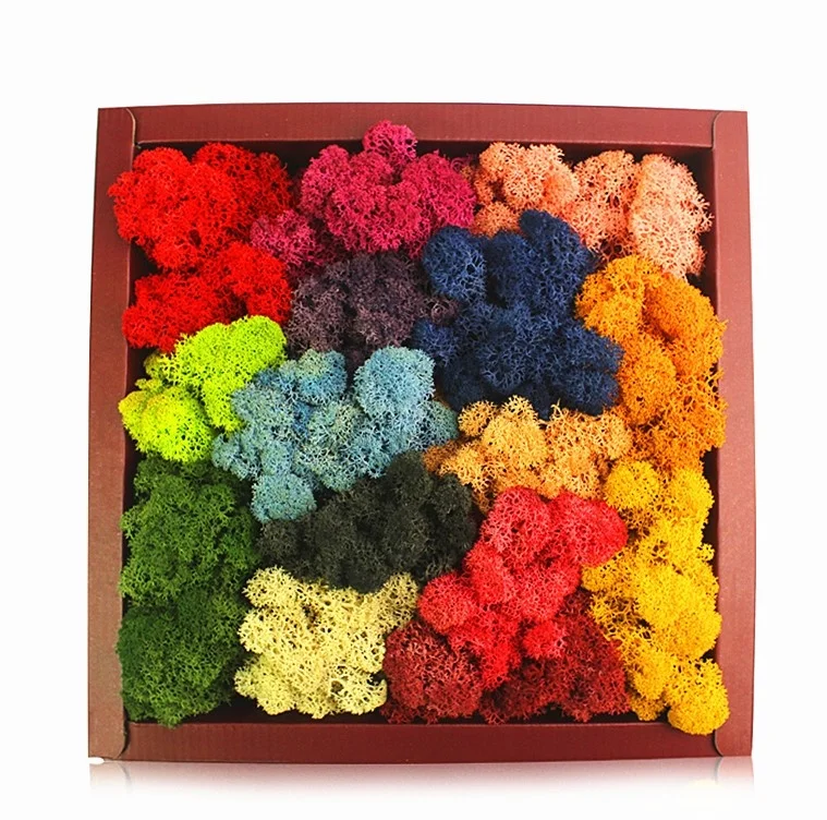 Wholesale 500G Long Life Preserved Moss Use To Make Stabilize Moss preserved Wall artificial moss grass wall for decoration