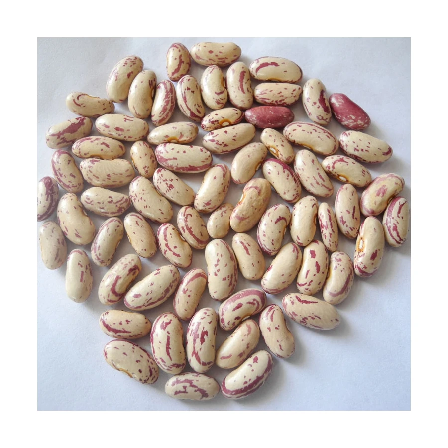 Wholesale Non-gmo Quality Attractive Price Beansdney Speckled Kidney Beans