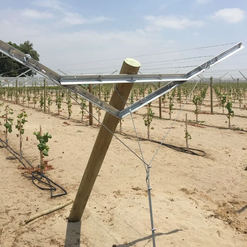 Table Grape Manor 1460mm Length Galvanized Y Shape Vineyard Post Vine Open Gable Trellis with Vineyard Accessories