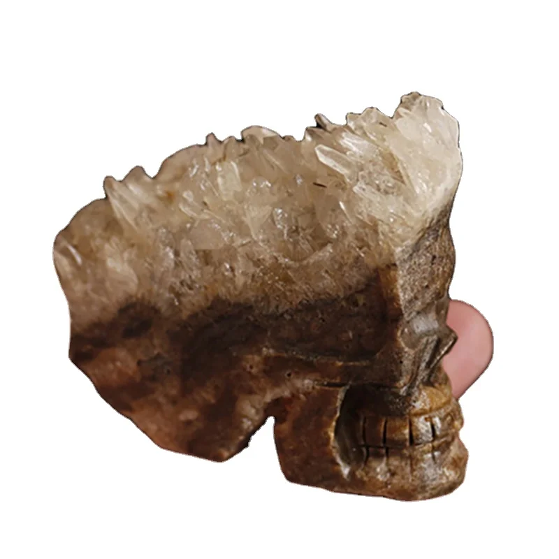 crystal skull 6637.JPG