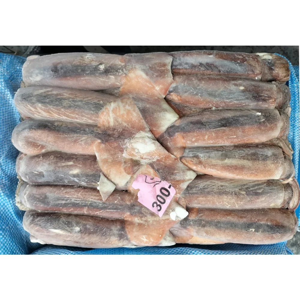 China export iqf illex squid argentina illex squid frozen illex squid w/r