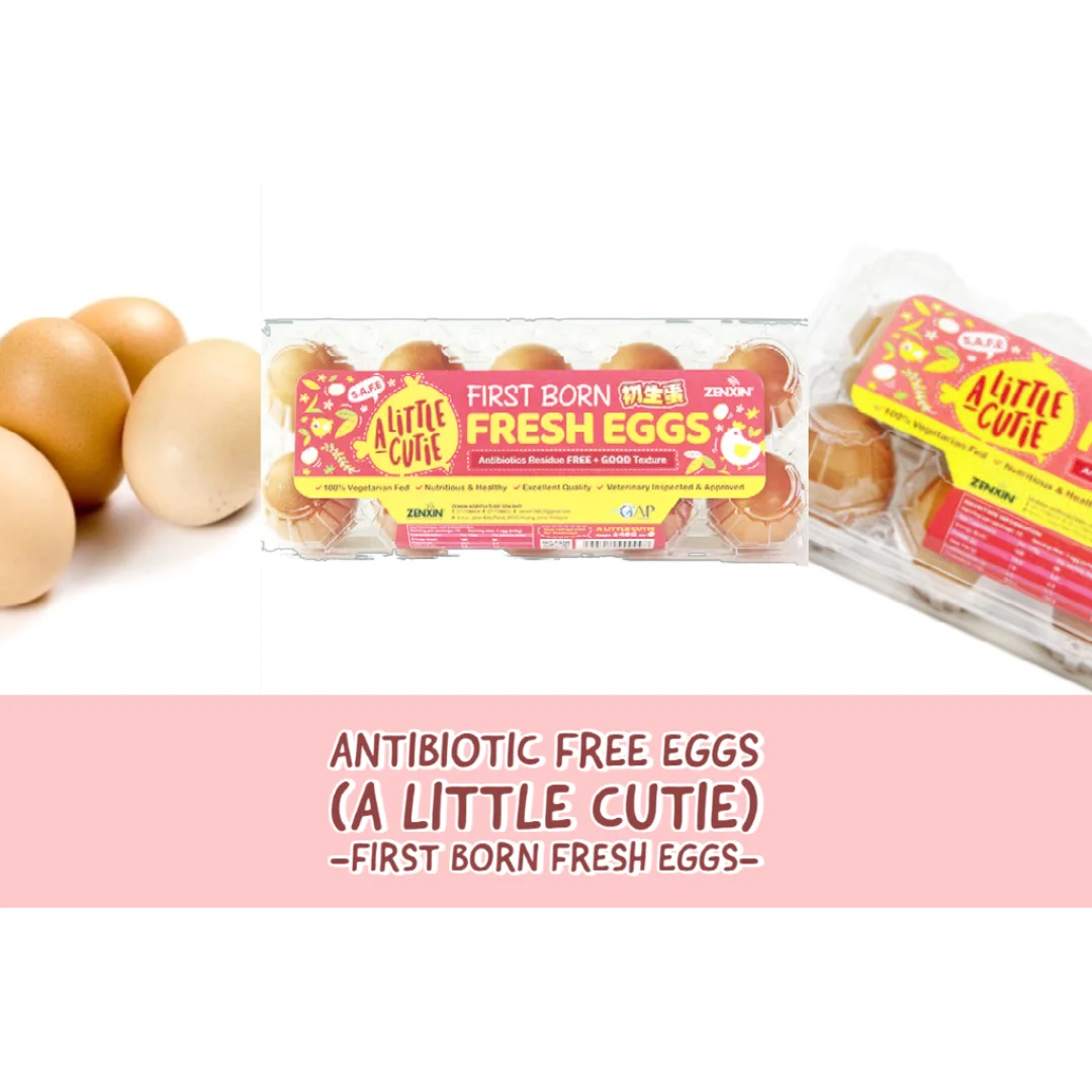 
High-quality Table Chicken Eggs Zenxin Antibiotic Free Little-cutie Eggs 