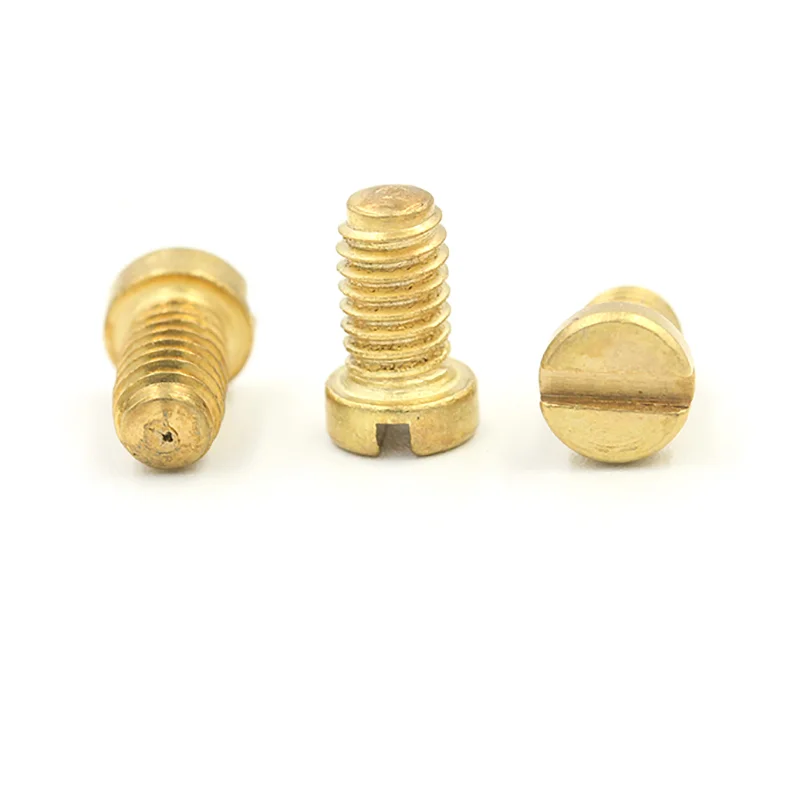 Stainless Steel Precision M0.7 M1.0 M1.2 Mini Small Screw for Watch