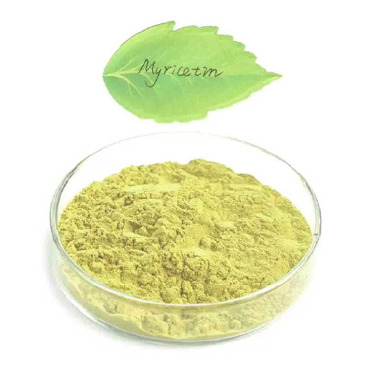 Экстракт 50% мирицетина Bayberry хорошая цена натуральный экстракт Myrica Rubra порошок 98%