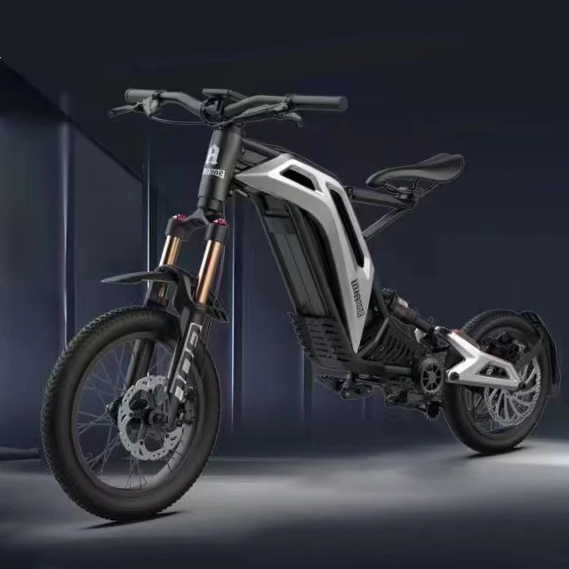 2023 48 В 3000 Вт Ebike 35AH мощный внедорожный мотоцикл