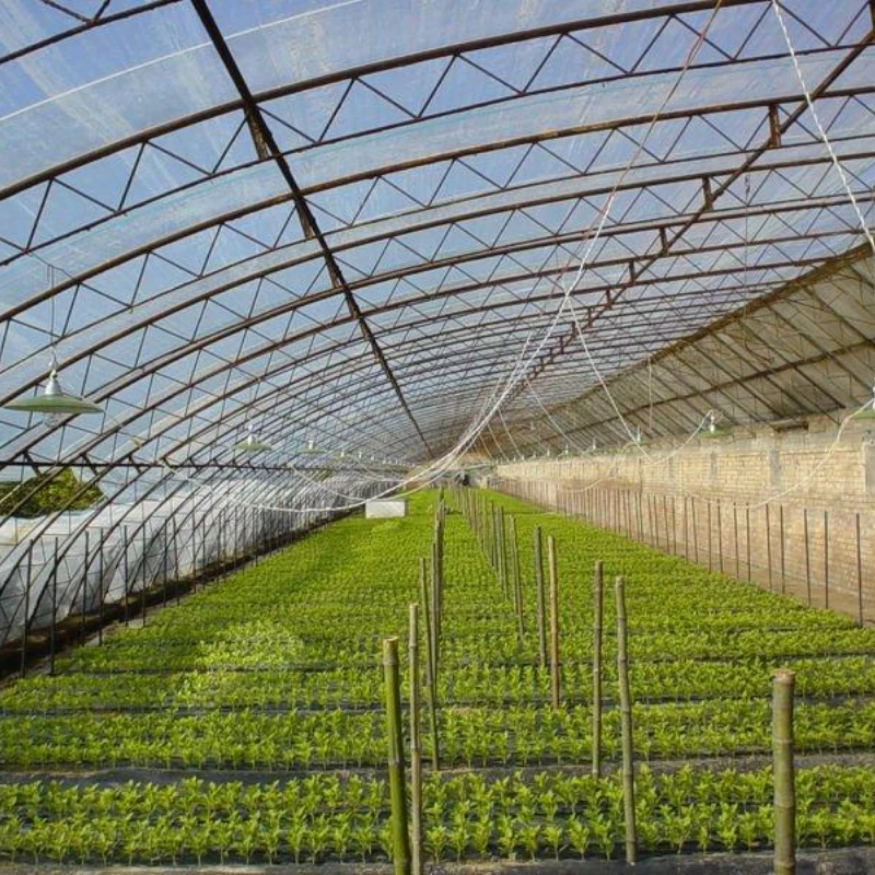 Multi-Use Film Greenhouse for Diverse Crop Rotation Techniques and Yield Improvement Strategies