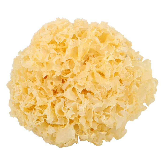 Factory Supply low price white water-soluble 30% mushroom powder tremella fuciformis extract