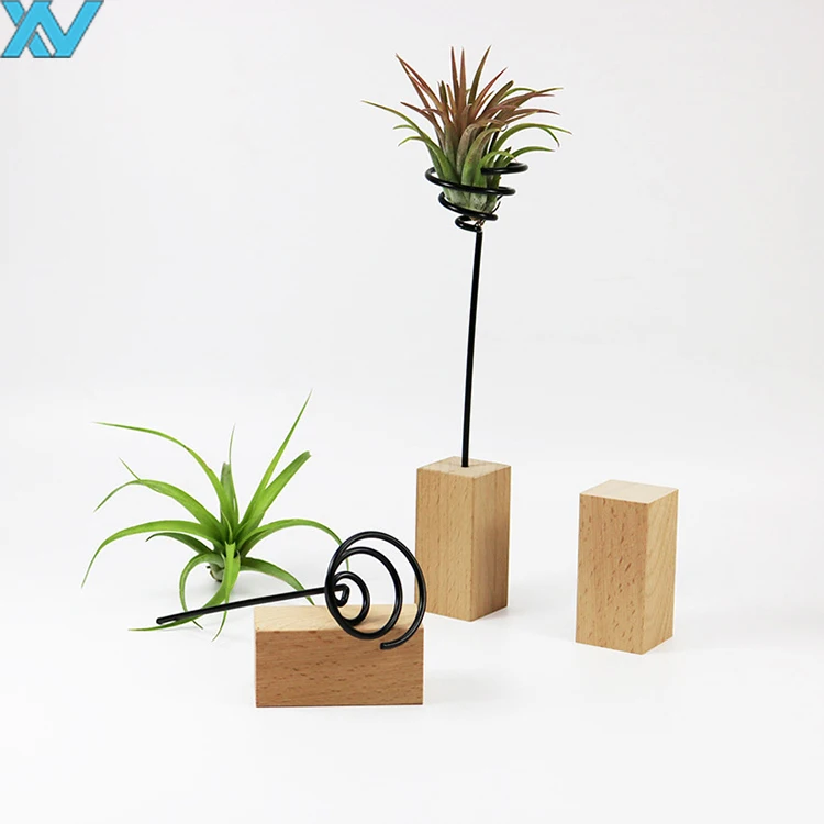 Display Desk decorate air-plant metal holder clip metal wire storage stands with wooden base