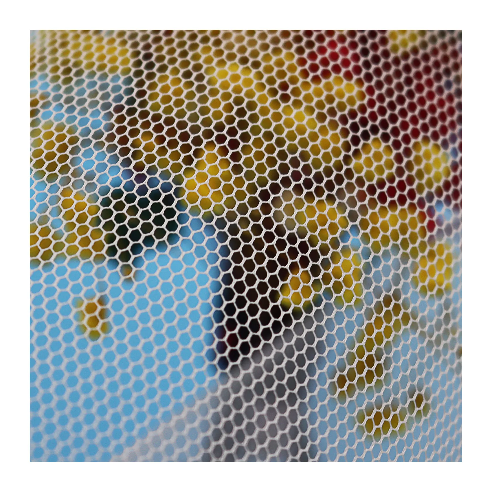 
100% Polyester PE 40D Micro Mosquito Net Soft Mesh Fabric for Kid Skirt Wedding Dress Wholesale 