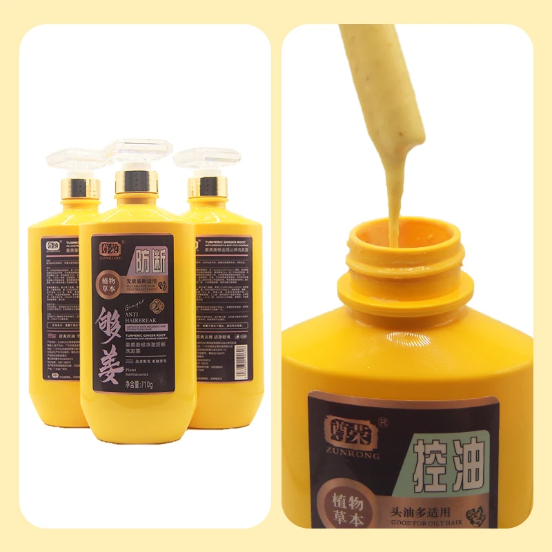 Zunrong wholesale private label OEM ODM salon 308g 710g herbal plant fresh ginger anti-break hair shampoo