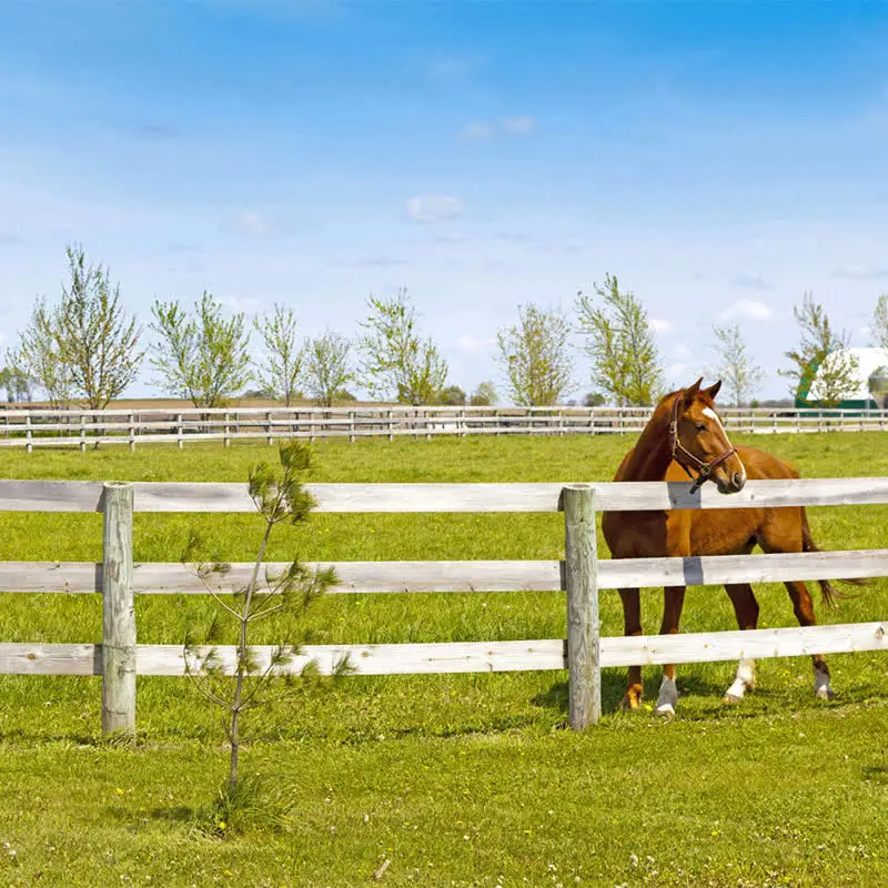 High Quality Plastic PVC Garden Edging Resistant 3 Rails Horse Fence European Style Pvc Security Horse Fence