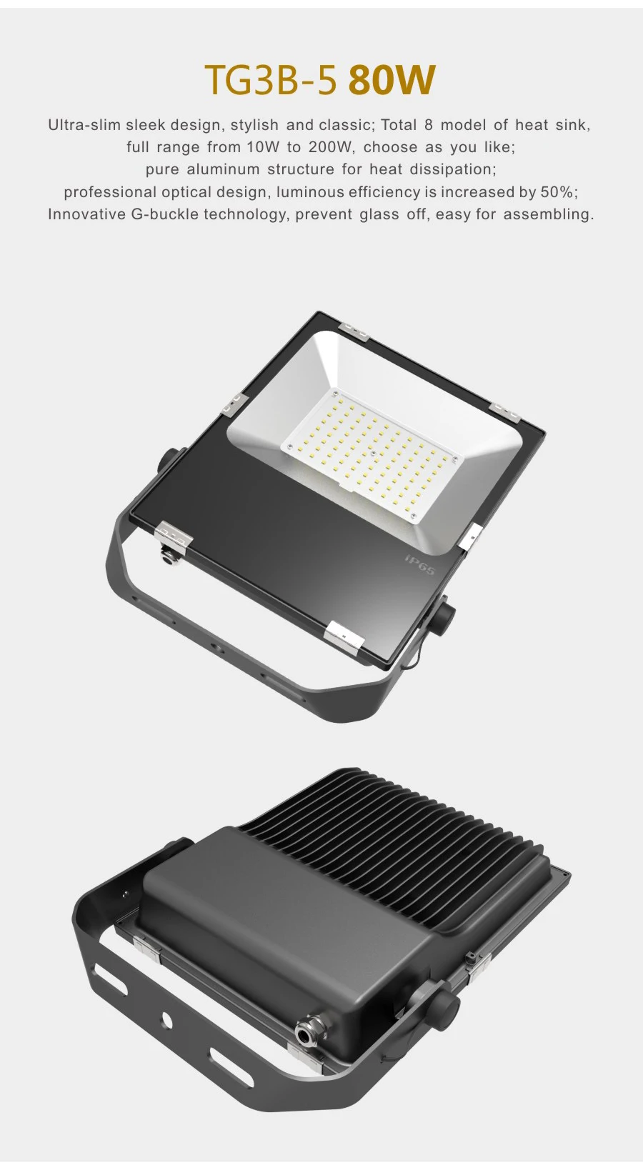 AD-FGD-80WDL 80W 1.jpg