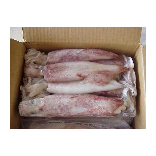 Wholesale IQF Loligo Squid