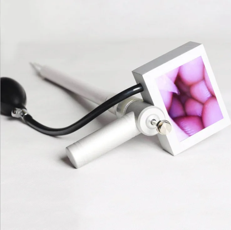 Hot sale Digital Vet AI gun portable Cattle Visual Artificial Insemination Sperm Gun for Cattle Cow Dog Canine Pig Dog TCI Gun