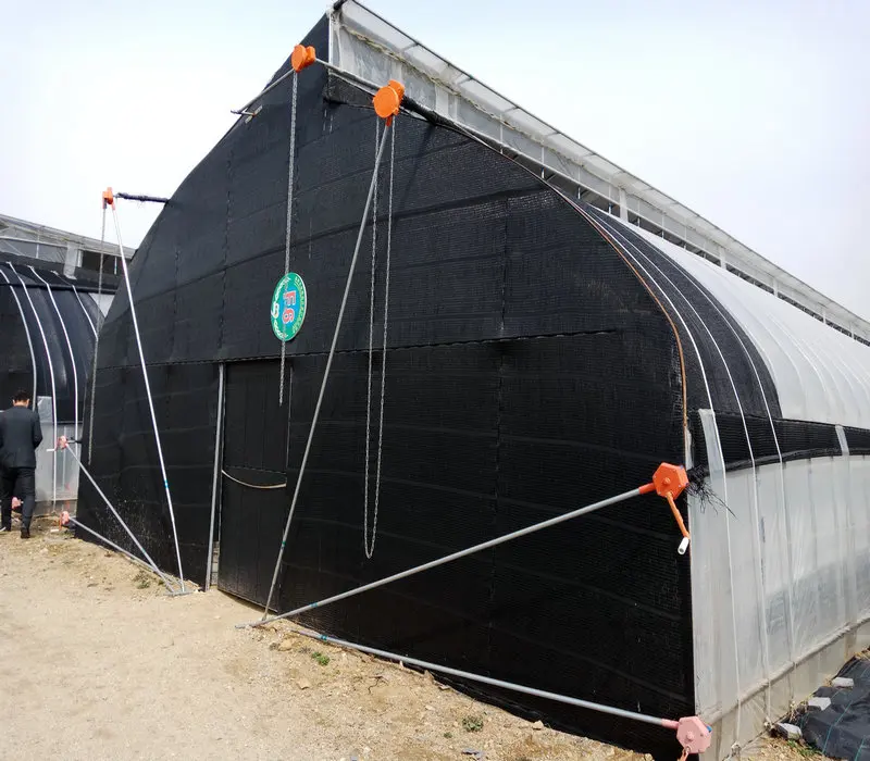 Mushroom caterpillar tunnel greenhouse in factory price