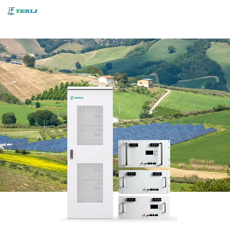 Terli Deep Cycle Long Life Lifepo4 Server Rack Battery 48v 100ah 200ah Lituium Ion Battery