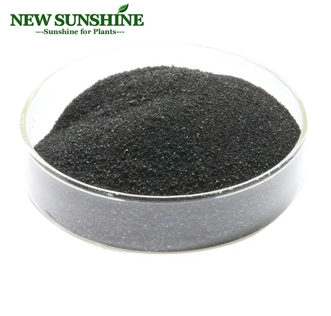 Ascophylum Nodosum Seaweed extract flake powder Algae extract