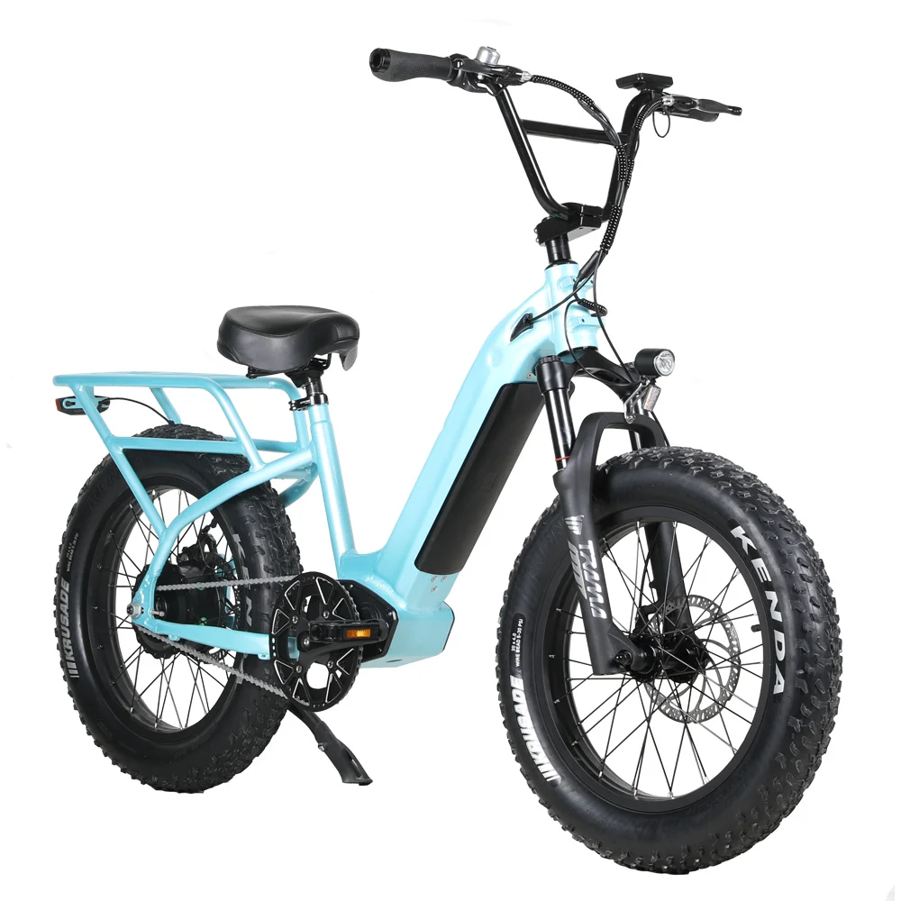 48V500w/750w  low step 20 inch fat tire electric bike with cargo