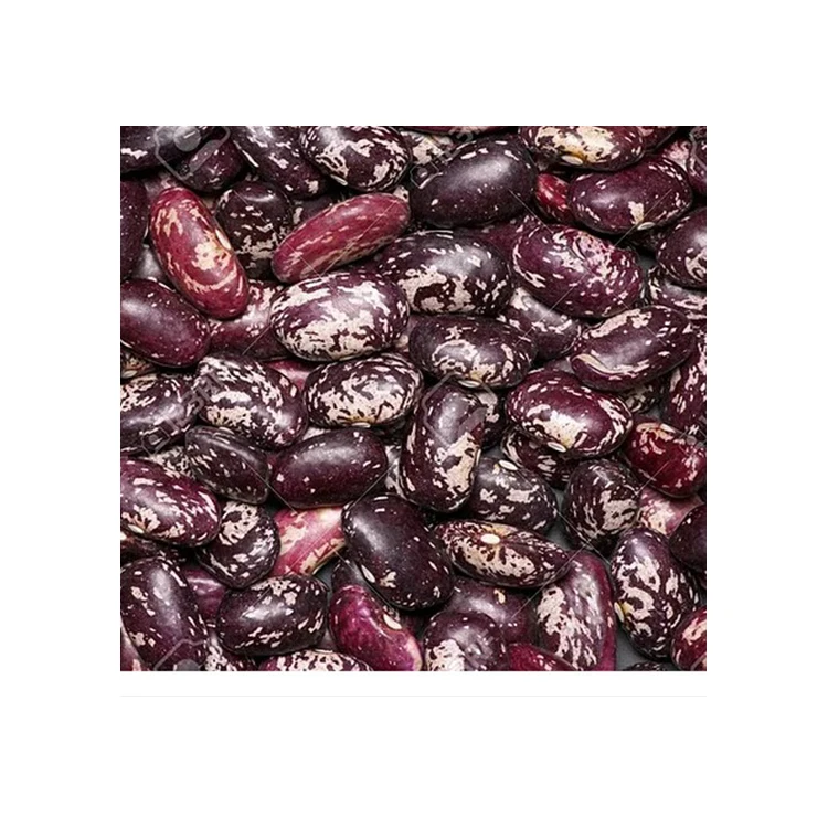 
Long Red Wholesale Kidney Beans Purple Speckled Kidney Beans 