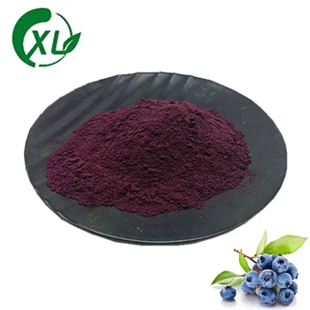 Blueberry Anthocyanins powder Gold Standard 25% Blueberry Extract