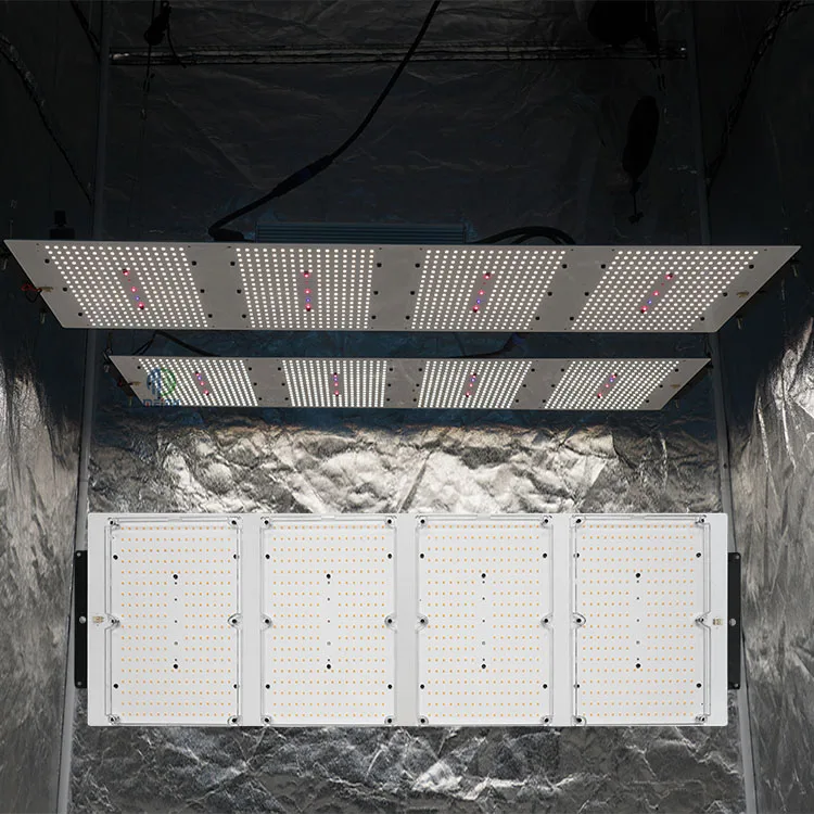 Meijiu X Light, Customized 600W Samsung Lm301B 3000K 4000K Pcb Led Grow Lights For Indoor Plants/