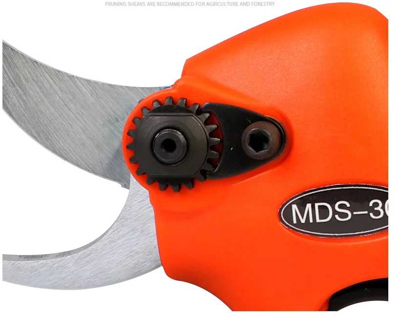 Cordless Garden Fruit Tree Pruning
