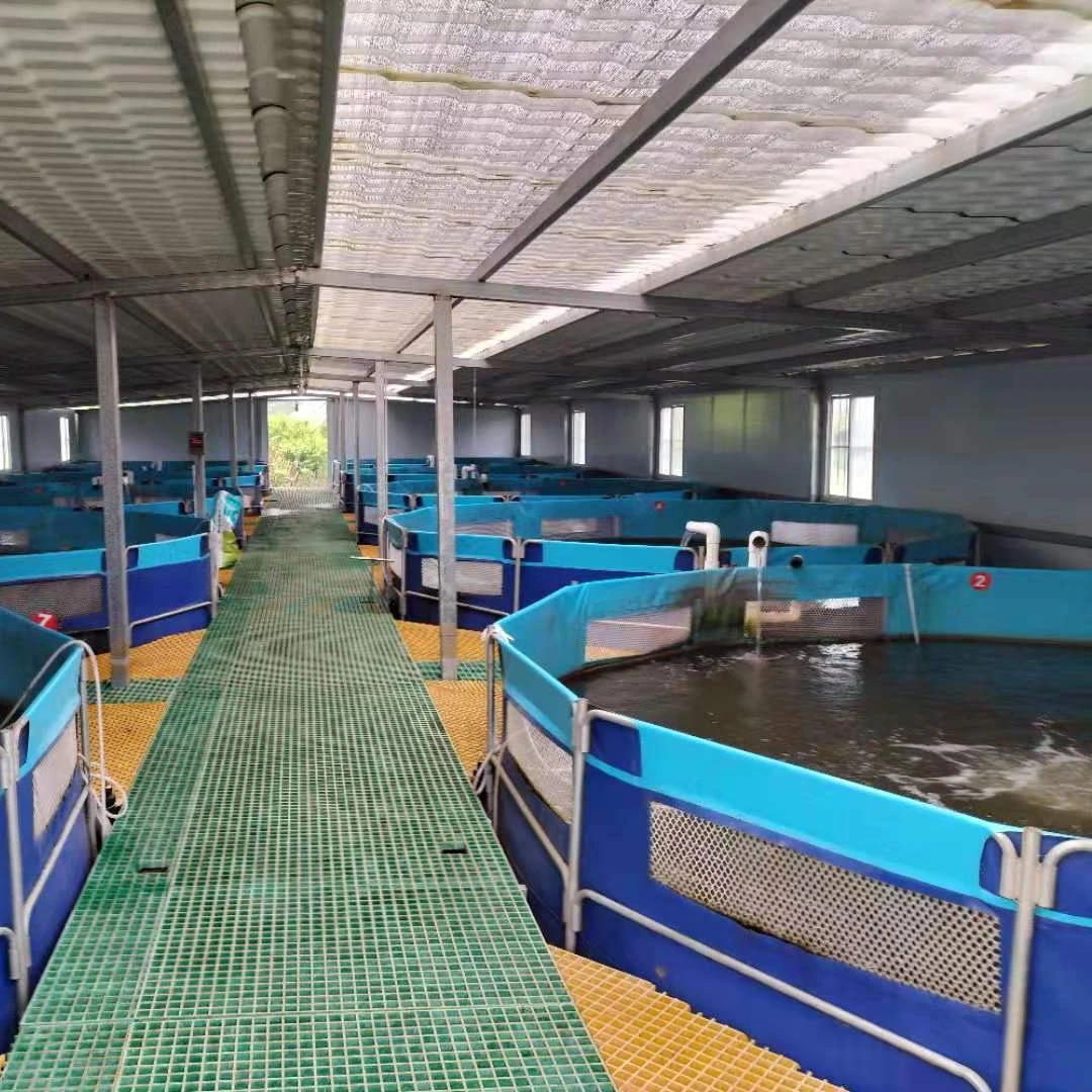 Геомембрана из ПВХ подкладка для резервуара хранения воды вкладыши рыбоводства в Индонезии BPM